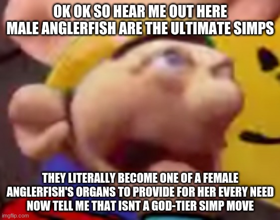 CHANGE. MY. MIND. | OK OK SO HEAR ME OUT HERE
MALE ANGLERFISH ARE THE ULTIMATE SIMPS; THEY LITERALLY BECOME ONE OF A FEMALE ANGLERFISH'S ORGANS TO PROVIDE FOR HER EVERY NEED
NOW TELL ME THAT ISNT A GOD-TIER SIMP MOVE | made w/ Imgflip meme maker