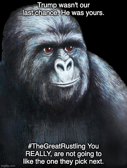 jimmies rustled | Trump wasn't our last chance. He was yours. #TheGreatRustling You REALLY, are not going to like the one they pick next. | image tagged in jimmies rustled,2022,2024,establishment,last chance | made w/ Imgflip meme maker