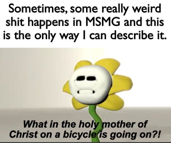 … | Sometimes, some really weird shit happens in MSMG and this is the only way I can describe it. | image tagged in flowey | made w/ Imgflip meme maker