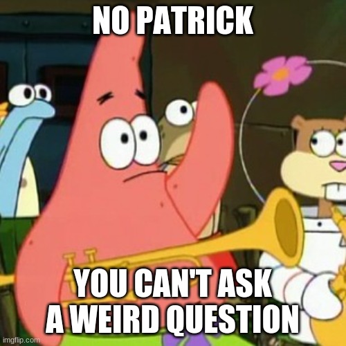 No Patrick Meme | NO PATRICK YOU CAN'T ASK A WEIRD QUESTION | image tagged in memes,no patrick | made w/ Imgflip meme maker