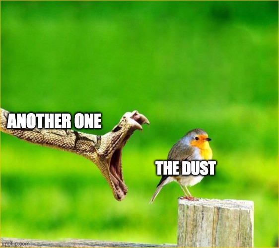 Snake Reality Bites | ANOTHER ONE; THE DUST | image tagged in snake reality bites | made w/ Imgflip meme maker