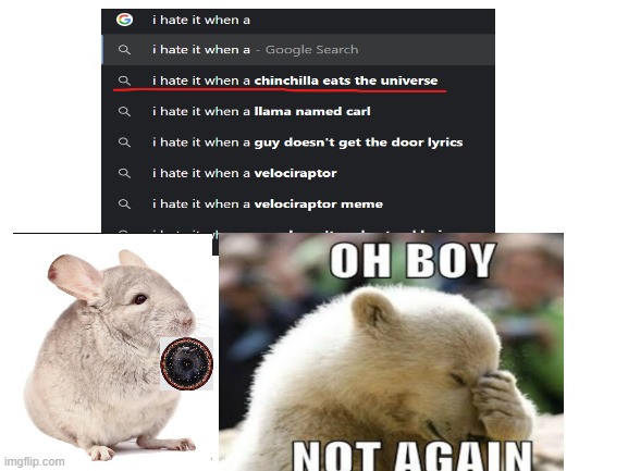 chinchilla please stop eating the universe | image tagged in memes,google search | made w/ Imgflip meme maker