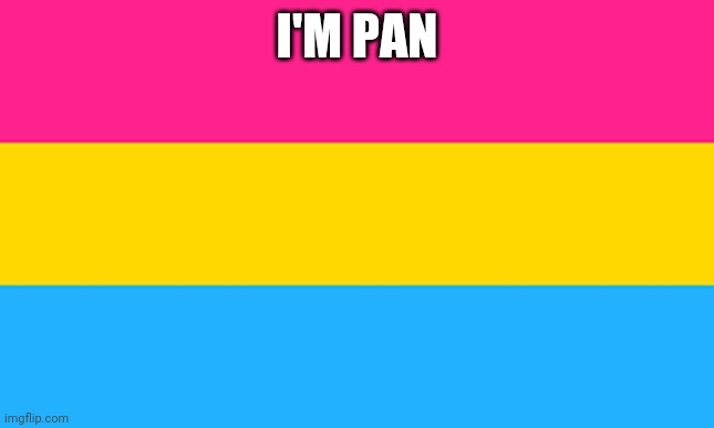 I'm pan | I'M PAN | image tagged in pan flag | made w/ Imgflip meme maker