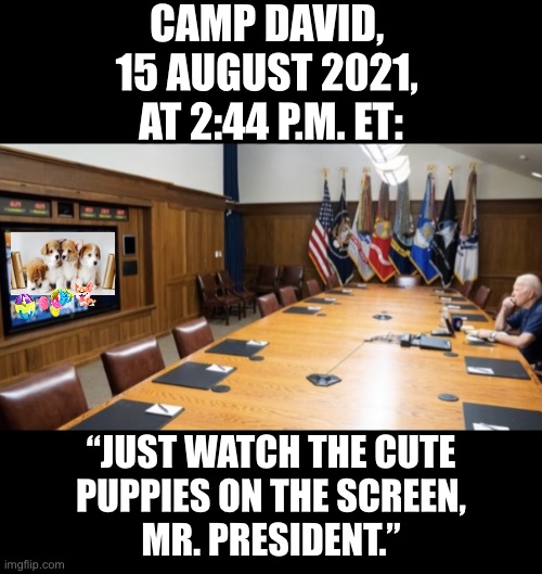 “Just watch the puppies, Mr. President.” | CAMP DAVID, 
15 AUGUST 2021, 
AT 2:44 P.M. ET:; “JUST WATCH THE CUTE
PUPPIES ON THE SCREEN,
MR. PRESIDENT.” | image tagged in joe biden,creepy joe biden,biden,democrat party,communists,incompetence | made w/ Imgflip meme maker