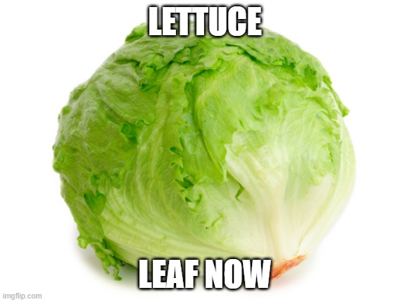 Let Us |  LETTUCE; LEAF NOW | image tagged in lettuce | made w/ Imgflip meme maker
