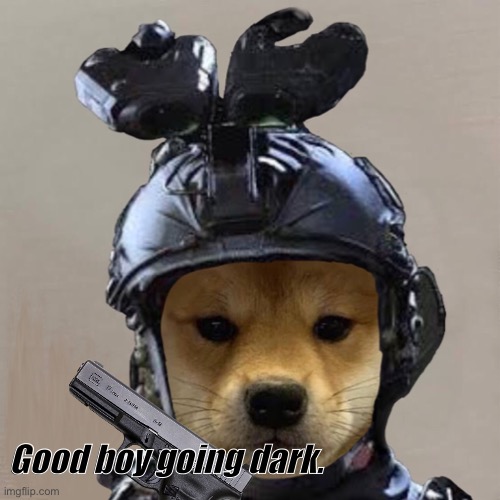 Good boi | Good boy going dark. | image tagged in gun,doggo,very good boy | made w/ Imgflip meme maker