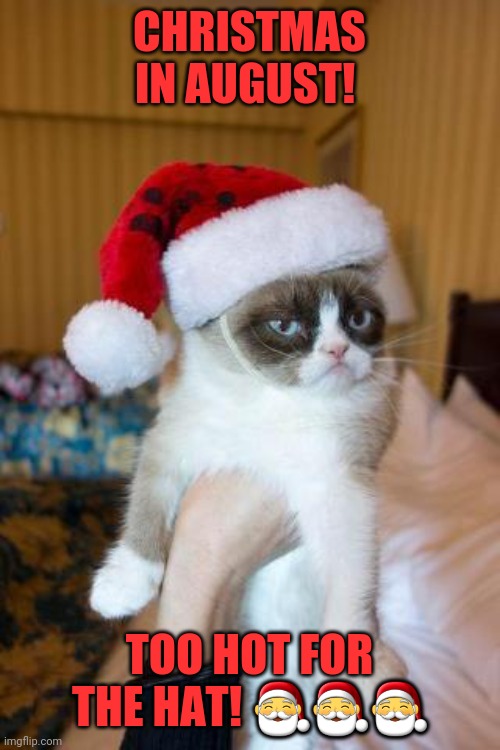 Grumpy Cat Christmas Meme | CHRISTMAS IN AUGUST! TOO HOT FOR THE HAT! ??? | image tagged in memes,grumpy cat christmas,grumpy cat | made w/ Imgflip meme maker