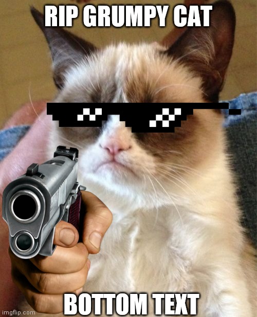 RIP GRUMPY CAT; BOTTOM TEXT | image tagged in rip grumpy cat | made w/ Imgflip meme maker