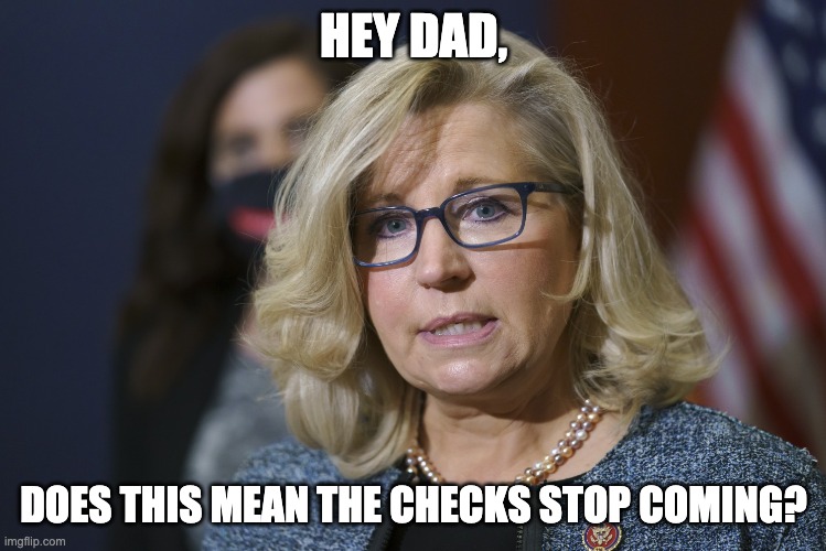 Liz Cheney Afghanistan | HEY DAD, DOES THIS MEAN THE CHECKS STOP COMING? | made w/ Imgflip meme maker