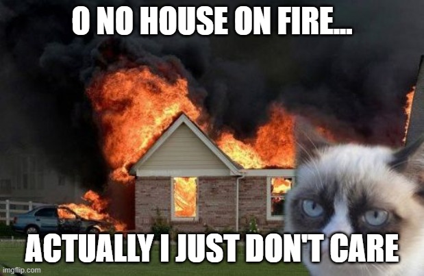 what cat do when house on fire | O NO HOUSE ON FIRE... ACTUALLY I JUST DON'T CARE | image tagged in memes,burn kitty,grumpy cat | made w/ Imgflip meme maker