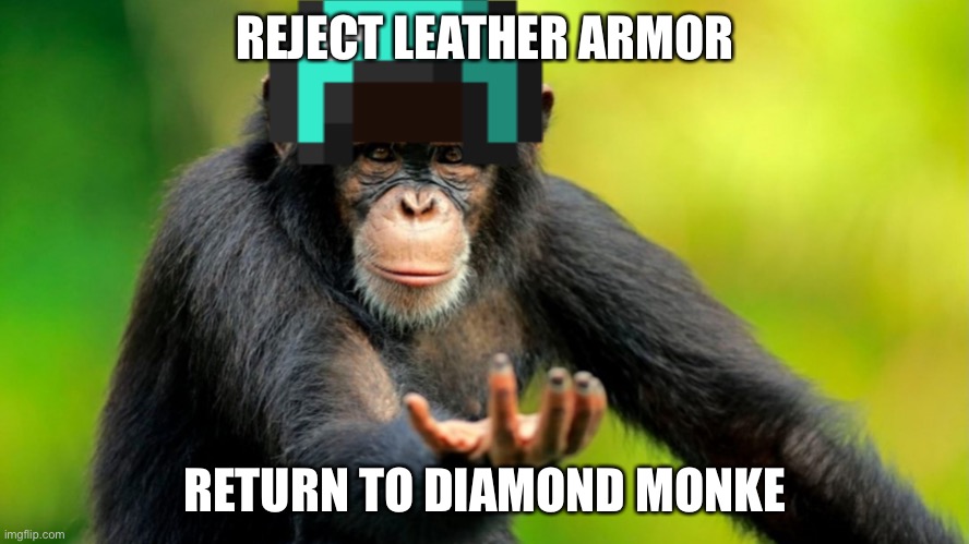return to monke | REJECT LEATHER ARMOR RETURN TO DIAMOND MONKE | image tagged in return to monke | made w/ Imgflip meme maker