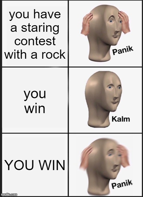 Panik Kalm Panik | you have a staring contest with a rock; you win; YOU WIN | image tagged in memes,panik kalm panik | made w/ Imgflip meme maker