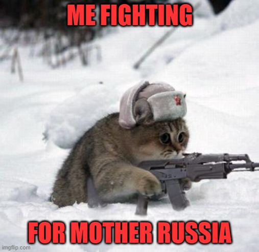 Cute Sad Soviet War Kitten | ME FIGHTING; FOR MOTHER RUSSIA | image tagged in cute sad soviet war kitten | made w/ Imgflip meme maker
