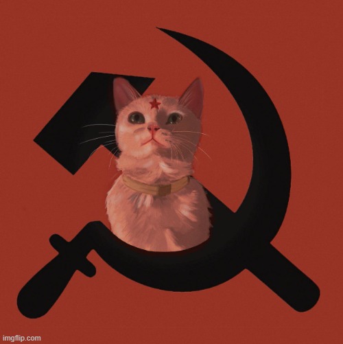 Soviet Cat | image tagged in soviet cat | made w/ Imgflip meme maker