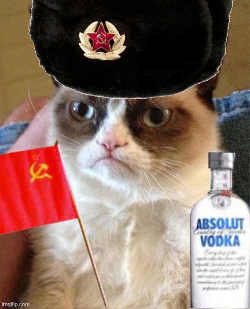 soviet grumpy cat | image tagged in soviet grumpy cat | made w/ Imgflip meme maker