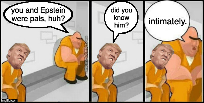 Hard time. | you and Epstein
were pals, huh? did you
know
him? intimately. | image tagged in memes,trump incarceration,epstein,hard time,foreplay | made w/ Imgflip meme maker
