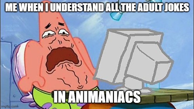 Why, | ME WHEN I UNDERSTAND ALL THE ADULT JOKES; IN ANIMANIACS | image tagged in patrick star | made w/ Imgflip meme maker
