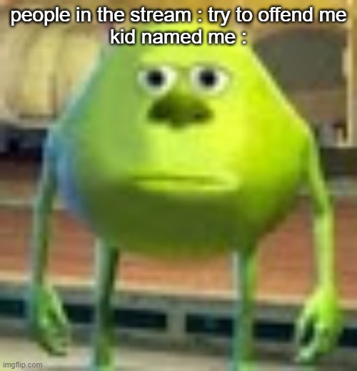 try to offend me | people in the stream : try to offend me
kid named me : | image tagged in sully wazowski | made w/ Imgflip meme maker