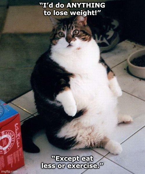fat cat | “I’d do ANYTHING to lose weight!”; “Except eat less or exercise.” | image tagged in fat cat | made w/ Imgflip meme maker