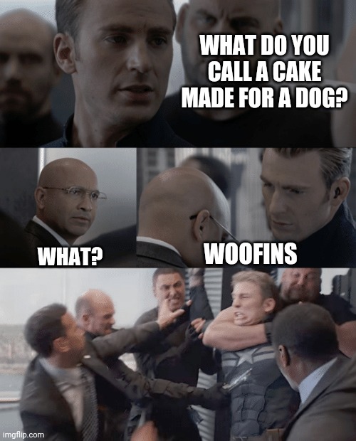 Captain america elevator | WHAT DO YOU CALL A CAKE MADE FOR A DOG? WOOFINS; WHAT? | image tagged in captain america elevator,bad puns | made w/ Imgflip meme maker