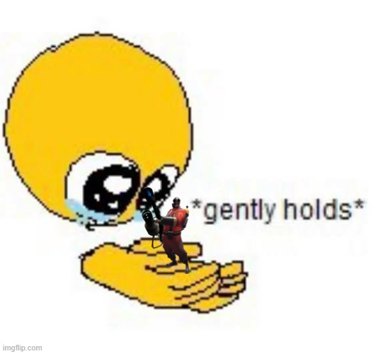 Gently holds emoji | image tagged in gently holds emoji | made w/ Imgflip meme maker