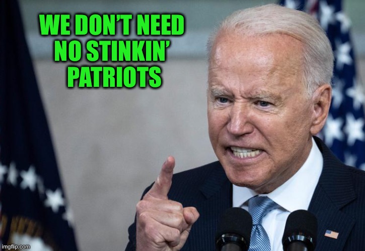 Strident Joe | WE DON’T NEED 
NO STINKIN’ 
PATRIOTS | image tagged in strident joe | made w/ Imgflip meme maker