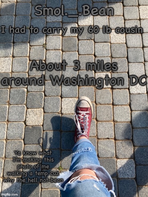 He’s heavy I’m weak | I had to carry my 60 lb cousin; About 3 miles around Washington DC | image tagged in beans foot temp | made w/ Imgflip meme maker