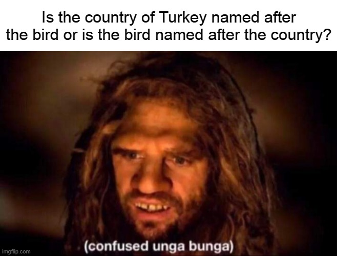 Confused Unga Bunga | Is the country of Turkey named after the bird or is the bird named after the country? | image tagged in confused unga bunga | made w/ Imgflip meme maker