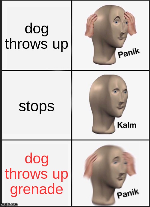 Panik Kalm Panik Meme | dog throws up; stops; dog throws up grenade | image tagged in memes,panik kalm panik | made w/ Imgflip meme maker