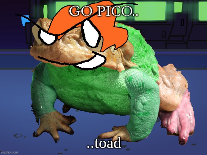 pico without makeup | GO PICO.. ..toad | image tagged in pico | made w/ Imgflip meme maker