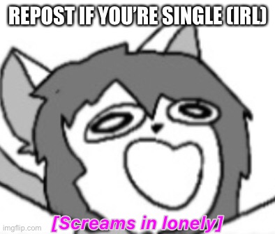 Psychocat screams in lonely | REPOST IF YOU’RE SINGLE (IRL) | image tagged in psychocat screams in lonely | made w/ Imgflip meme maker