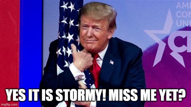 Trump | YES IT IS STORMY! MISS ME YET? | image tagged in donald trump | made w/ Imgflip meme maker