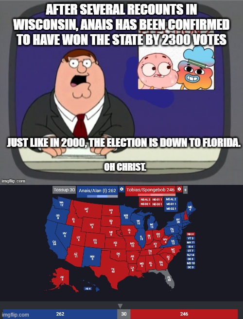 AFTER SEVERAL RECOUNTS IN WISCONSIN, ANAIS HAS BEEN CONFIRMED TO HAVE WON THE STATE BY 2300 VOTES; JUST LIKE IN 2000, THE ELECTION IS DOWN TO FLORIDA. OH CHRIST. | image tagged in the 2nd election | made w/ Imgflip meme maker