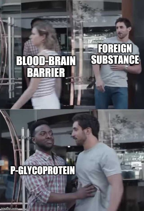 Science | FOREIGN SUBSTANCE; BLOOD-BRAIN BARRIER; P-GLYCOPROTEIN | image tagged in guy blocking guy | made w/ Imgflip meme maker
