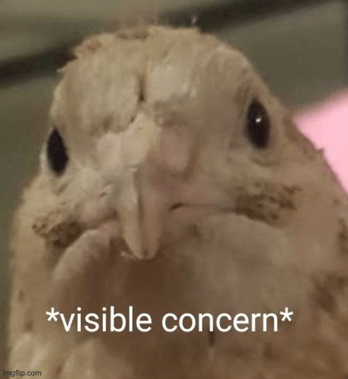 visible concern bird (link in comments) | image tagged in visible concern bird,custom template | made w/ Imgflip meme maker