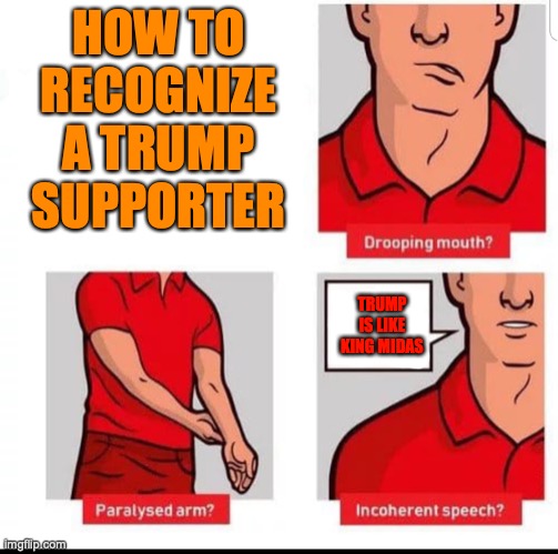 How to recognize a stroke | HOW TO RECOGNIZE A TRUMP SUPPORTER; TRUMP IS LIKE KING MIDAS | image tagged in how to recognize a stroke | made w/ Imgflip meme maker