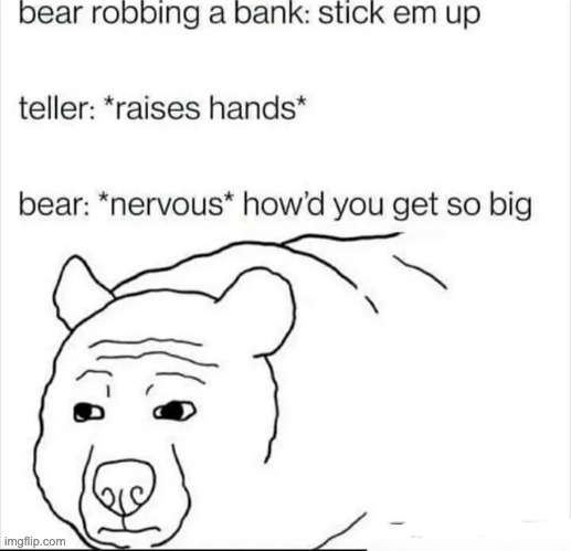 Bears! | image tagged in bear,robbing a bank | made w/ Imgflip meme maker