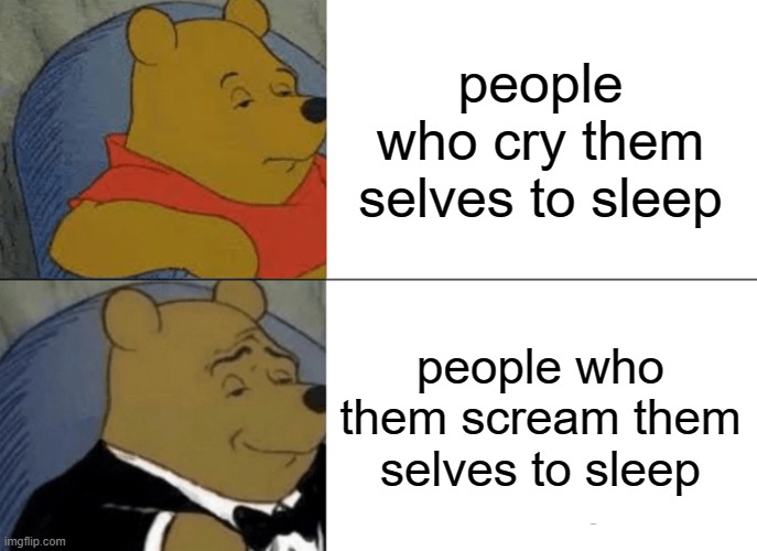 cool bruh | people who cry them selves to sleep; people who them scream them selves to sleep | image tagged in memes,tuxedo winnie the pooh | made w/ Imgflip meme maker