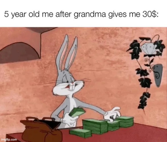 I'm rich. | image tagged in grandma,money | made w/ Imgflip meme maker