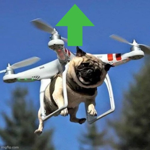 Flying Pug | image tagged in flying pug | made w/ Imgflip meme maker