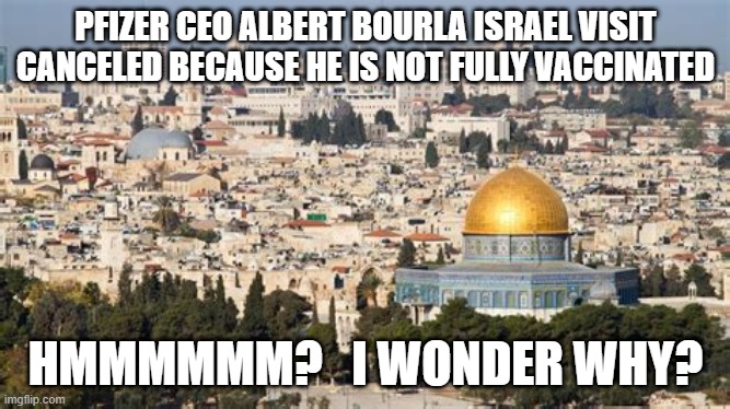 Pfizer C.E.O. | PFIZER CEO ALBERT BOURLA ISRAEL VISIT CANCELED BECAUSE HE IS NOT FULLY VACCINATED; HMMMMMM?   I WONDER WHY? | image tagged in pfizer | made w/ Imgflip meme maker