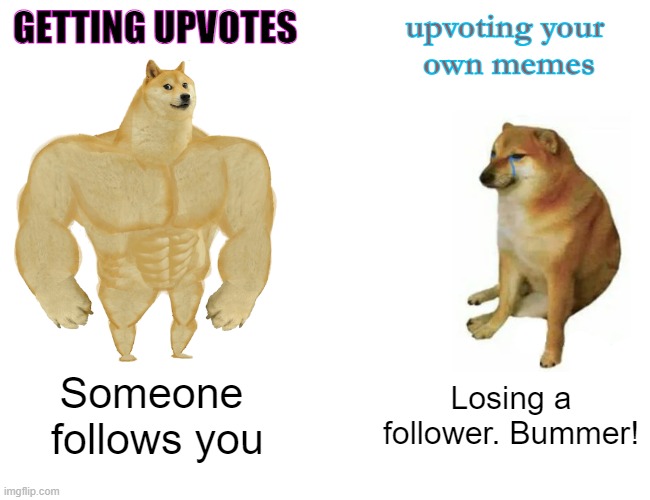 meme life | GETTING UPVOTES; upvoting your 
own memes; Someone
 follows you; Losing a
follower. Bummer! | image tagged in memes,buff doge vs cheems | made w/ Imgflip meme maker