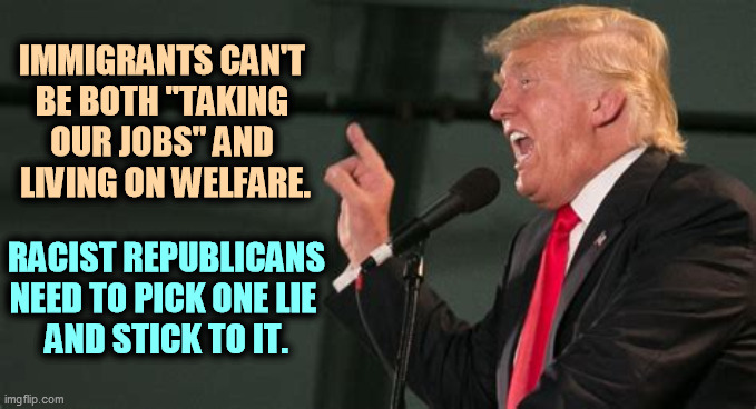 IMMIGRANTS CAN'T 
BE BOTH "TAKING 
OUR JOBS" AND 
LIVING ON WELFARE. RACIST REPUBLICANS NEED TO PICK ONE LIE 
AND STICK TO IT. | image tagged in racist,republicans,immigrant,lies | made w/ Imgflip meme maker