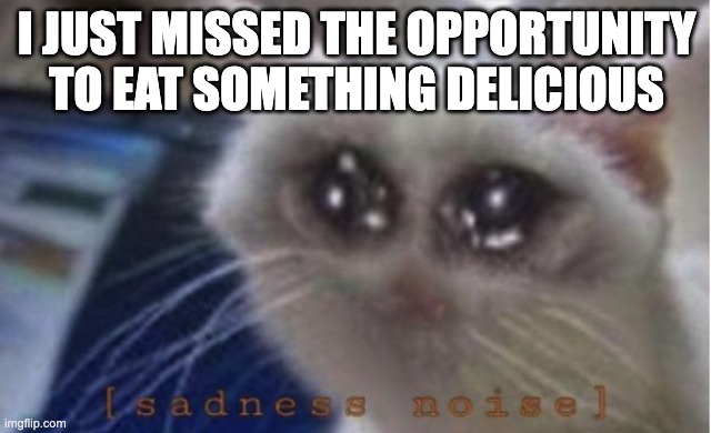 :( | I JUST MISSED THE OPPORTUNITY TO EAT SOMETHING DELICIOUS | image tagged in mega sad cat | made w/ Imgflip meme maker