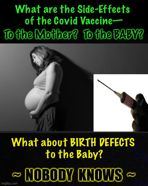 Who Knows? | What are the Side-Effects 
of the Covid Vaccine—; To the Mother?  To the BABY? What about BIRTH DEFECTS 
to the Baby? ~  NOBODY  KNOWS  ~ | image tagged in con vid,scam demic,power money control,big pharma and patent holders making bank,we are the experiments,they an kma | made w/ Imgflip meme maker