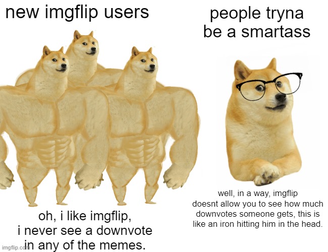 1. OH IM SORRY FOR BEING NEW HERE 2. dont be a smartass 3. ignore the fact that the 2 buff doge are holding hand, they're not ga | new imgflip users; people tryna be a smartass; well, in a way, imgflip doesnt allow you to see how much downvotes someone gets, this is like an iron hitting him in the head. oh, i like imgflip, i never see a downvote in any of the memes. | image tagged in memes,buff doge vs cheems | made w/ Imgflip meme maker