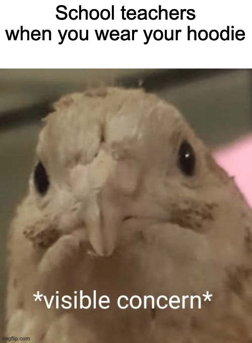 visible concern bird | School teachers when you wear your hoodie | image tagged in visible concern bird,hoodie,teachers | made w/ Imgflip meme maker