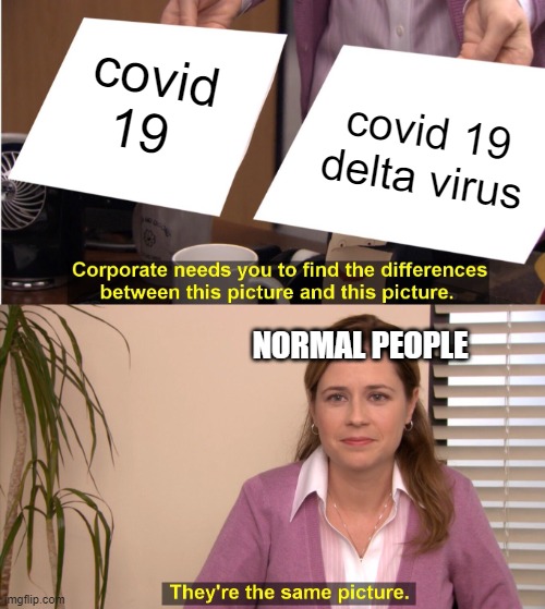 It is true | covid 19; covid 19 delta virus; NORMAL PEOPLE | image tagged in memes,they're the same picture,covid-19,delta | made w/ Imgflip meme maker