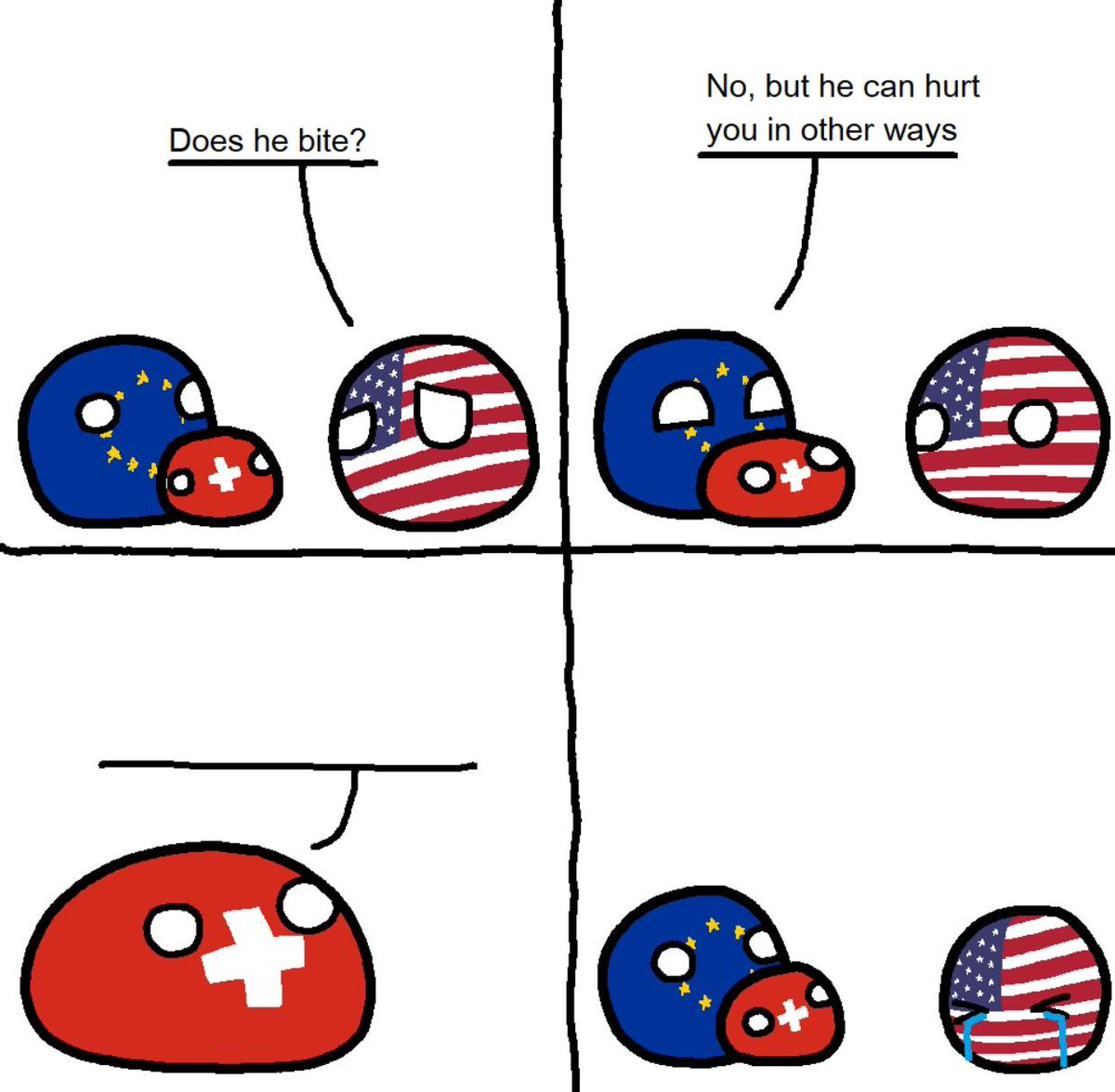 High Quality Switzerlandball hurts usa in other ways Blank Meme Template