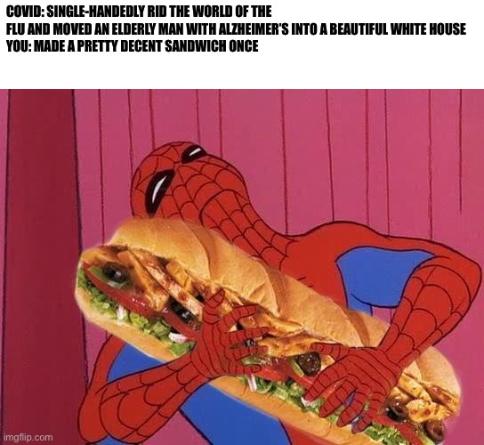Good Sandwich | COVID: SINGLE-HANDEDLY RID THE WORLD OF THE FLU AND MOVED AN ELDERLY MAN WITH ALZHEIMER’S INTO A BEAUTIFUL WHITE HOUSE
YOU: MADE A PRETTY DECENT SANDWICH ONCE | image tagged in spiderman sandwich | made w/ Imgflip meme maker